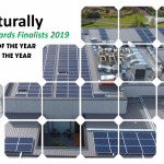 Solar Leaders: Solar Naturally finalists in the My Business awards